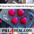 À Quoi Sert La Gelée De Kamagra 13